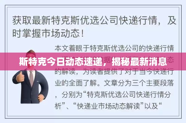 斯特克今日动态速递，揭秘最新消息