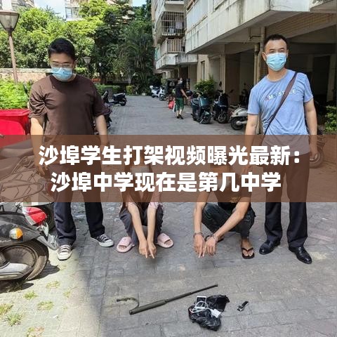 腾龙换鸟 第2页