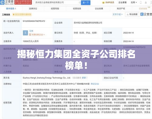 揭秘恒力集团全资子公司排名榜单！