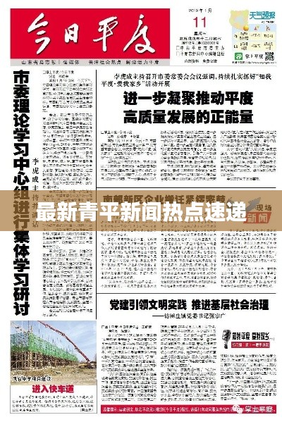 最新青平新闻热点速递