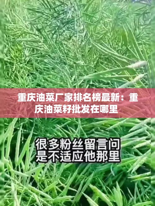 夫妻本是同 第2页