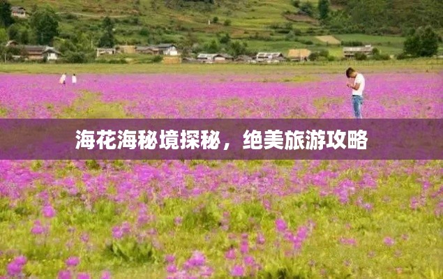 没张倒置 第2页