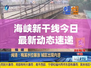 海峡新干线今日最新动态速递