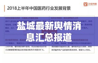 越鸟南栖 第2页