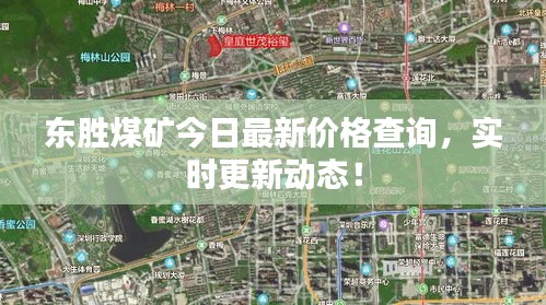 东胜煤矿今日最新价格查询，实时更新动态！