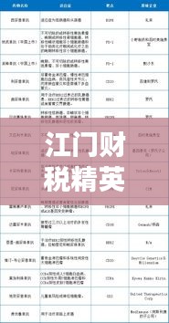 江门财税精英排名前十，财税领域的佼佼者