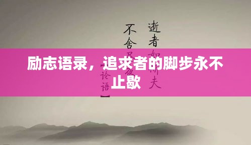 富贵有余 第3页