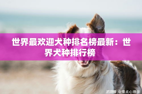 网站案例 第145页