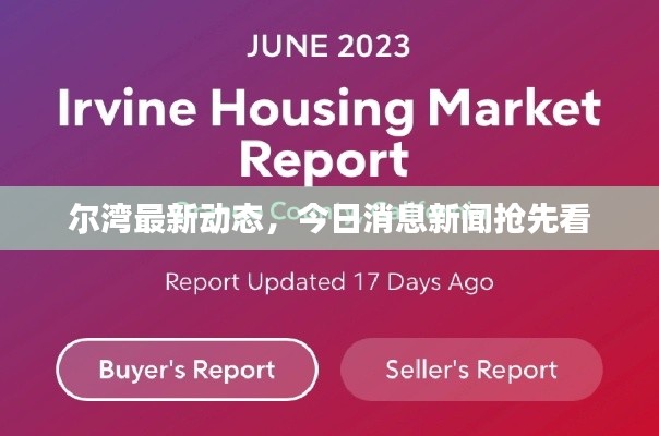 尔湾最新动态，今日消息新闻抢先看