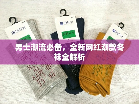 男士潮流必备，全新网红潮款冬袜全解析