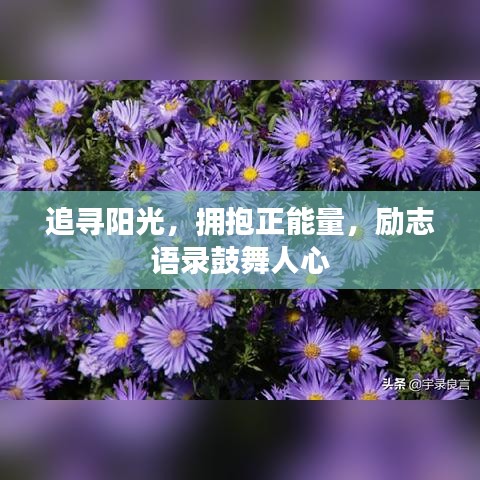 鸟面鹄形 第2页