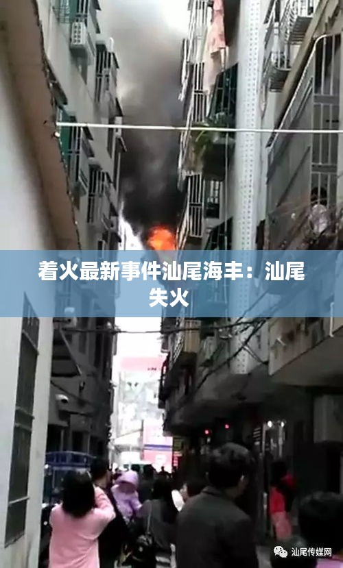 指李推张 第2页