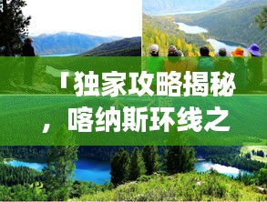 网站案例 第138页