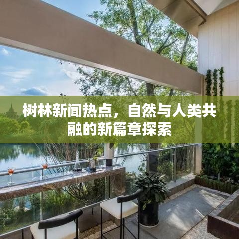 碧瓦飞甍 第2页