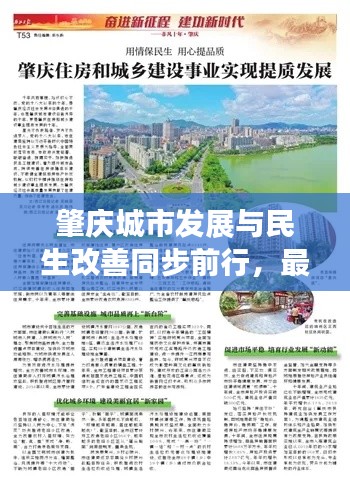 笼中之鸟 第2页