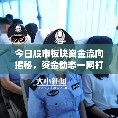 今日股市板块资金流向揭秘，资金动态一网打尽！