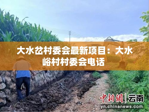 大水岔村委会最新项目：大水峪村村委会电话 
