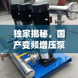 独家揭秘，国产变频增压泵公司排名榜单！