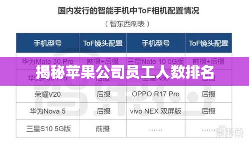 揭秘苹果公司员工人数排名