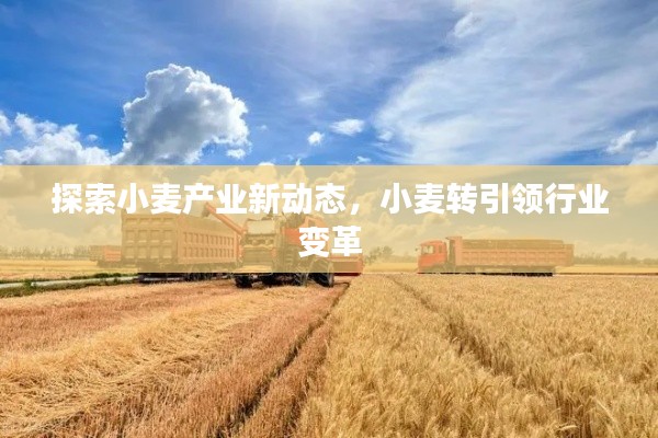 关于我们 第119页