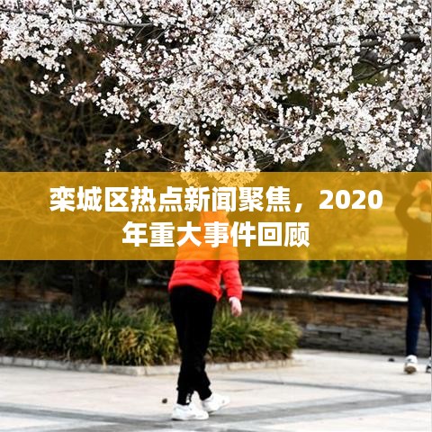 千载难逢 第2页
