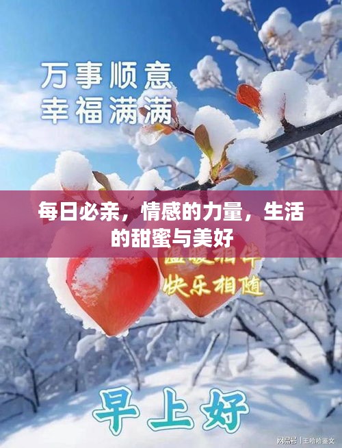 每日必亲，情感的力量，生活的甜蜜与美好