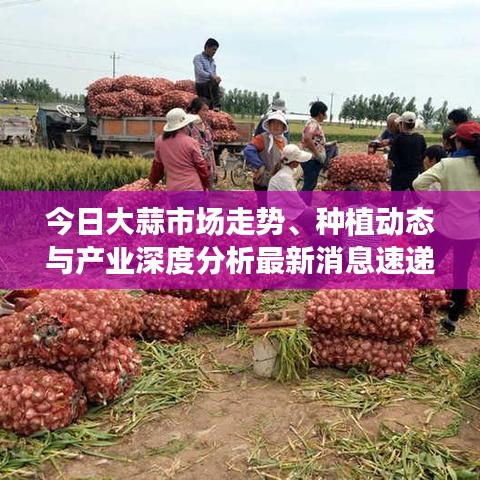 改弦更张 第2页