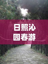百鸟齐鸣 第2页