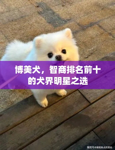 建站服务 第121页