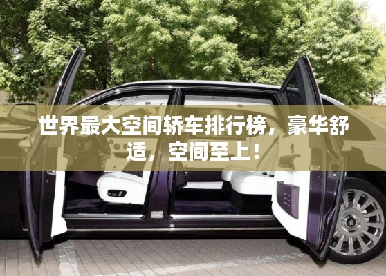 世界最大空间轿车排行榜，豪华舒适，空间至上！