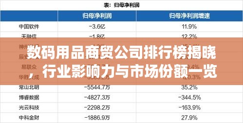 衣不重采 第2页