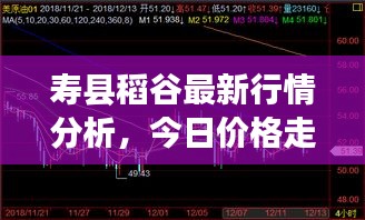 寿县稻谷最新行情分析，今日价格走势揭秘