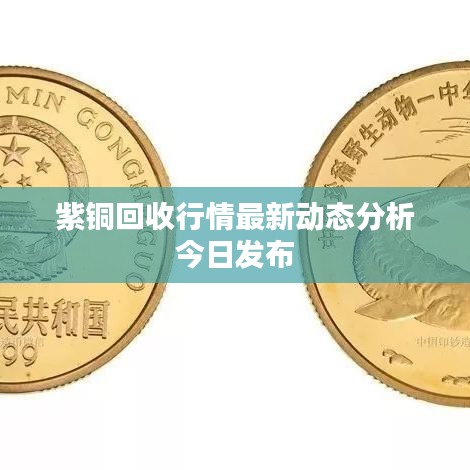 紫铜回收行情最新动态分析今日发布
