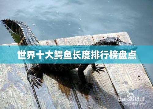 钗荆裙布 第2页