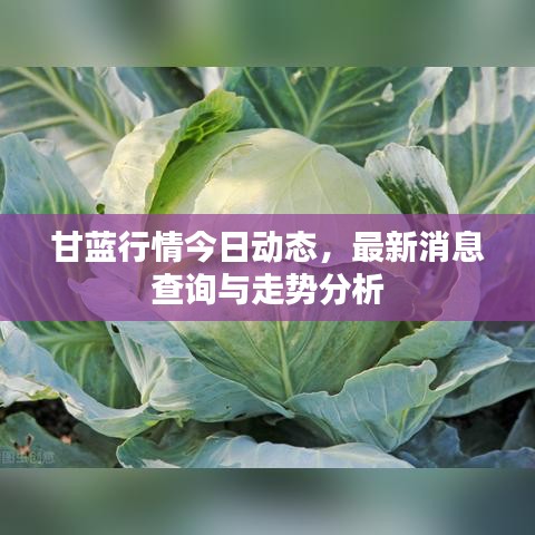 全神贯注 第2页