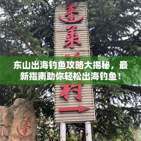 东山出海钓鱼攻略大揭秘，最新指南助你轻松出海钓鱼！