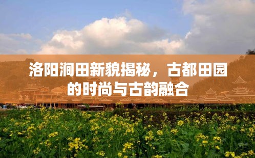 洛阳涧田新貌揭秘，古都田园的时尚与古韵融合