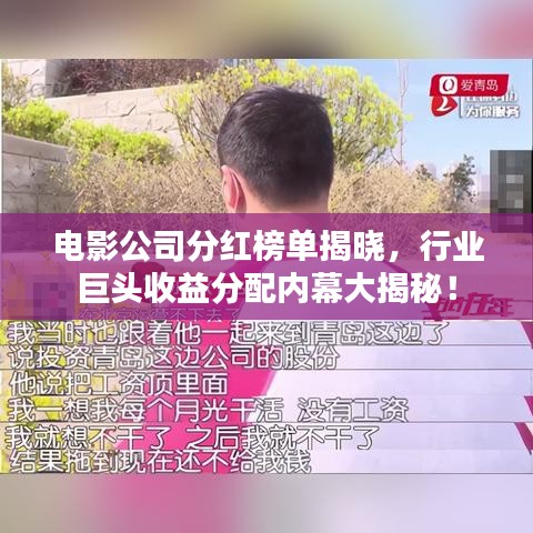 电影公司分红榜单揭晓，行业巨头收益分配内幕大揭秘！