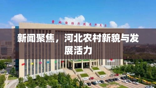 新闻聚焦，河北农村新貌与发展活力