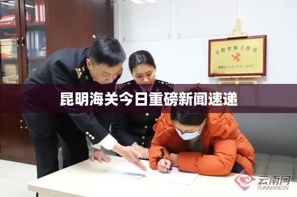 昆明海关今日重磅新闻速递
