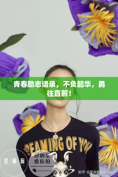 青春励志语录，不负韶华，勇往直前！