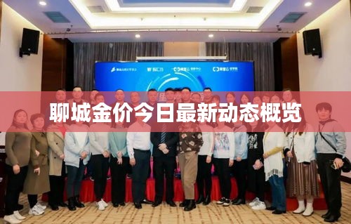 聊城金价今日最新动态概览