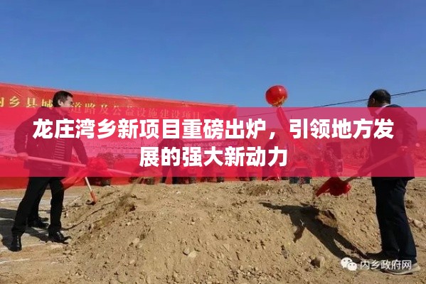 龙庄湾乡新项目重磅出炉，引领地方发展的强大新动力