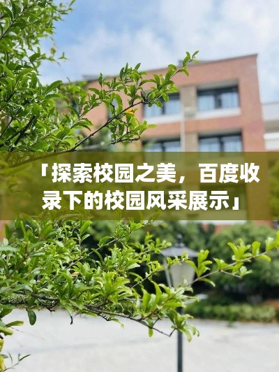 「探索校园之美，百度收录下的校园风采展示」