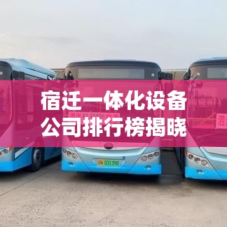 母以子贵 第2页