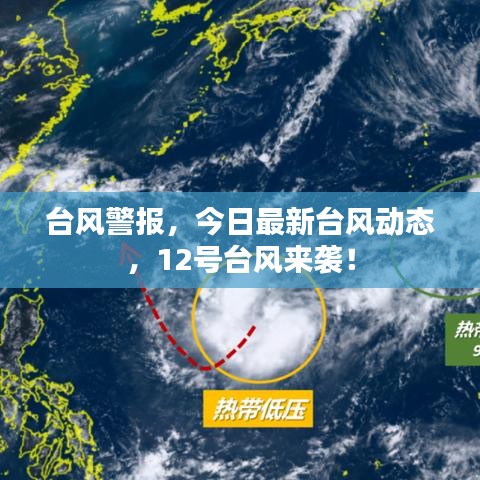台风警报，今日最新台风动态，12号台风来袭！