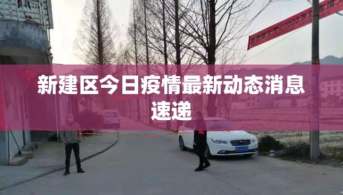 新建区今日疫情最新动态消息速递