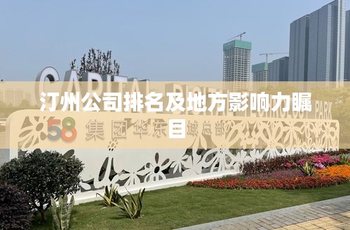 汀州公司排名及地方影响力瞩目