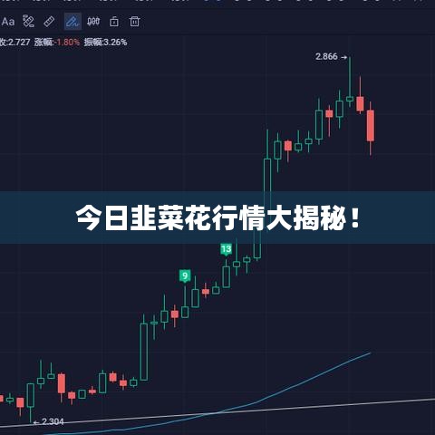 今日韭菜花行情大揭秘！