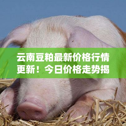 长安米贵 第2页